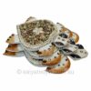 Shell & Pebbble Turtles - Set of 3