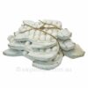 White Shell back Turtles Wall Art with Hooks