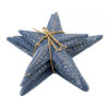 Chunky Starfish (SKU:31305)