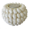 Shell Cowry T-Light  (SKU:50882)