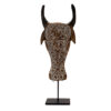 Timor Buffalo Head (SKU:60080)