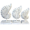 Nautilus Shells Set (SKU:31336)