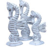 Wash Seahorse Set of 3 (SKU: 31554)