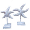Starfish Stand Set/2  (SKU: 31557)