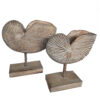 Nautilus Shell Stand Set (SKU: 31565)