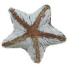 Starfish Tray  (SKU: 31586)