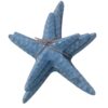 Starfish Bundle (SKU:31677)