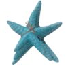 Starfish Bundle (SKU:31678)