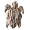 Driftwood Wall Turtle (SKU:51339)